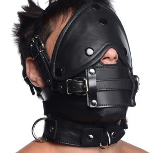 Leather Head Harness With Removeable Gag