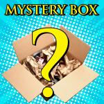Male Sex Toy Mystery Box Large