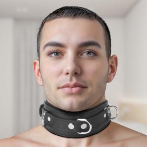 Strict Leather Premium Locking Collar