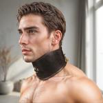 Padded Leather Locking Posture Collar
