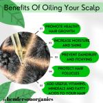 Aloe Vera & Rosemary Hair Growth Oil